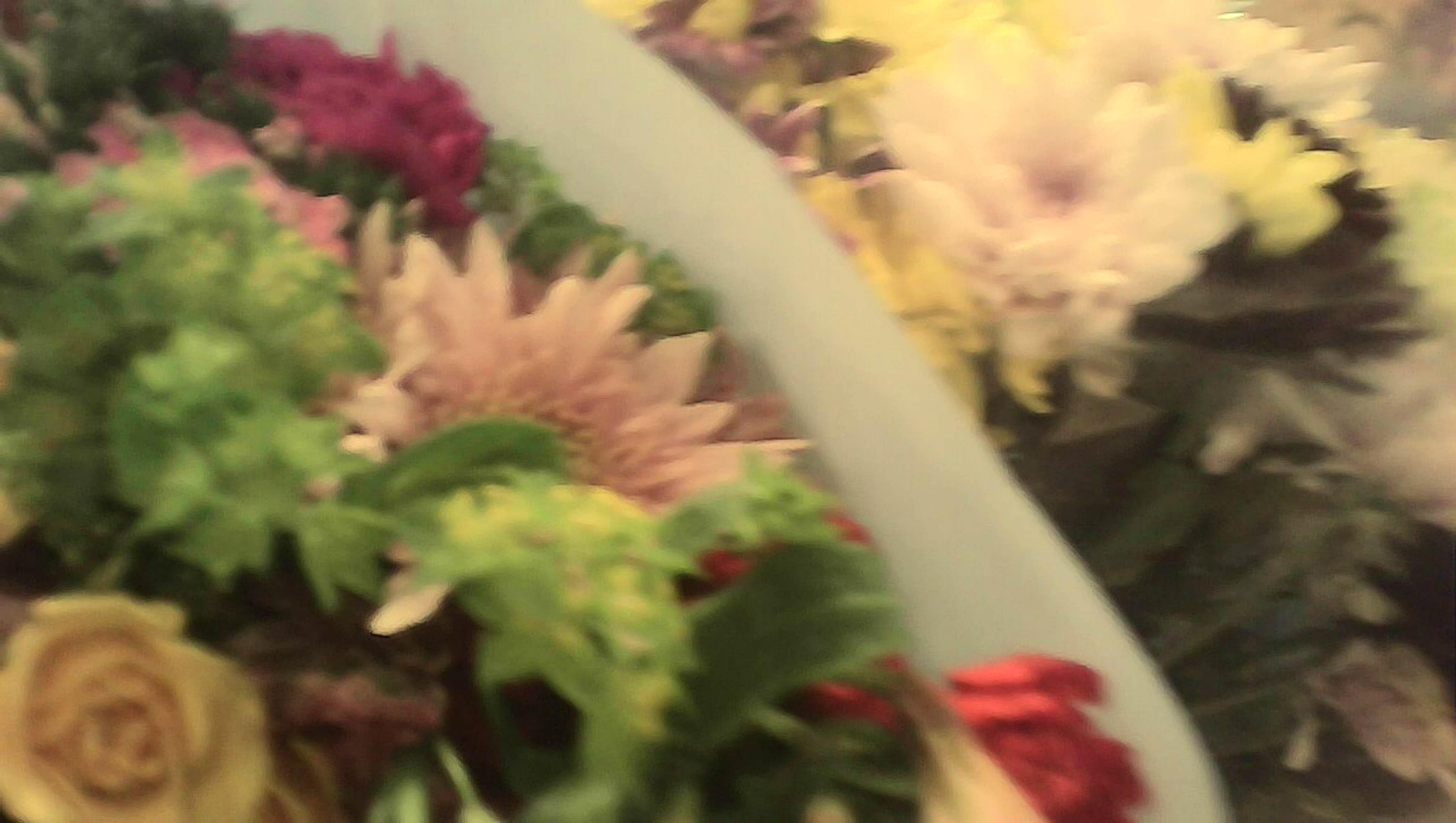 A picture of flowers that my 2 year old son took.